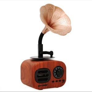 Radio fm , Bluetooth speaker vintage retro